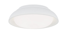  719-655-L - LED FLUSH MOUNT