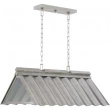  P550119-141 - POINT DUMEÂ® by Jeffrey Alan Marks for Progress Lighting Edgecliff Galvanized Finish Outdoor Hanging