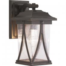  P560113-020 - Abbott Collection One-Light Small Wall Lantern