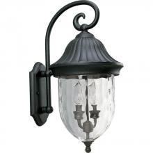  P5829-31 - Coventry Collection Two-Light Wall Lantern