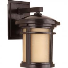  P6084-2030K9 - Wish Collection One-Light Small LED Wall Lantern