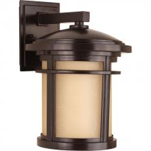  P6085-2030K9 - Wish Collection One-Light Medium LED Wall Lantern