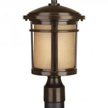  P6424-2030K9 - Wish Collection One-Light LED Post Lantern