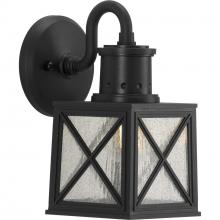  P560163-031 - Seagrove Collection One-Light Small Wall Lantern with DURASHIELD