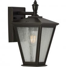  P560166-020 - Cardiff Collection One-Light Small Wall Lantern with DURASHIELD