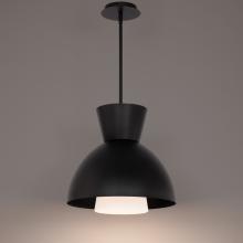  PD-23316-BK - Carafe Pendant Light