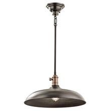  42585OZ - Pendant/Semi Flush 1Lt