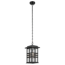  49833BKT - Outdoor Pendant 1Lt