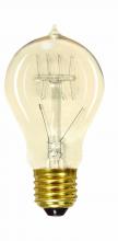 Satco Products Inc. S2419 - 60 Watt A19 Incandescent; Clear; 3000 Average rated hours; 240 Lumens; Medium base; 120 Volt