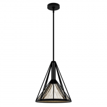  19451 - Hunter Rafner Natural Black Iron with Mercury Glass Glass 1 Light Pendant Ceiling Light Fixture