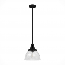  19247 - Hunter Cypress Grove Natural Black Iron with Clear Holophane Glass 1 Light Pendant Ceiling Light