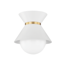  C8610-SWH/PBR - 1 LIGHT FLUSH MOUNT