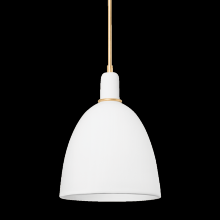  1717-VGL/CMI - 1 LIGHT PENDANT