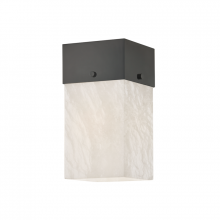  3800-BLNK - 1 LIGHT WALL SCONCE