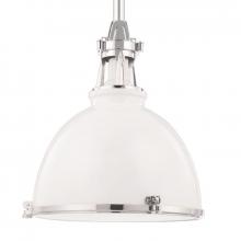  4614-WPN - 1 LIGHT PENDANT