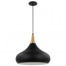  60/7517 - Phoenix; 1 Light; Large Pendant; Matte Black with Burnished Brass