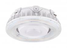  65/631 - LED Canopy Fixture; 100 Watt; CCT Selectable; White Finish; 100-277 Volt