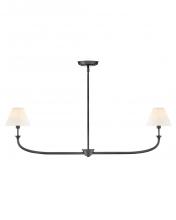  45164BLB - Medium Two Light Linear