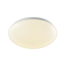  CL783004 - Thomas - Kalona 1-Light 10-inch LED Flush Mount in White with a White Acrylic Diffuser