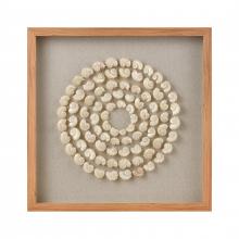  S0036-11263 - Concentric Shell Dimensional Wall Art