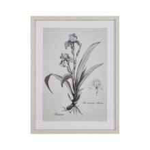  S0056-10633 - Iris Botanic Framed Wall Art